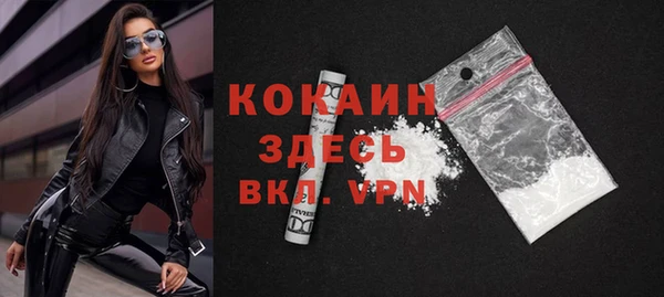 индика Баксан
