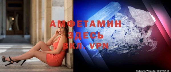 индика Баксан
