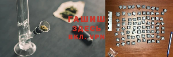 индика Баксан