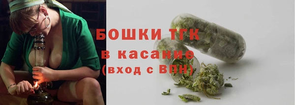 индика Баксан