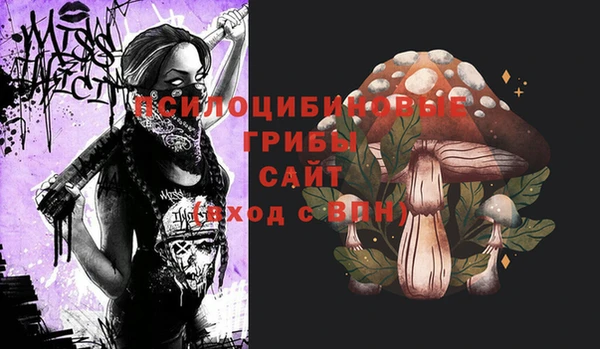 индика Баксан