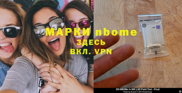 индика Баксан