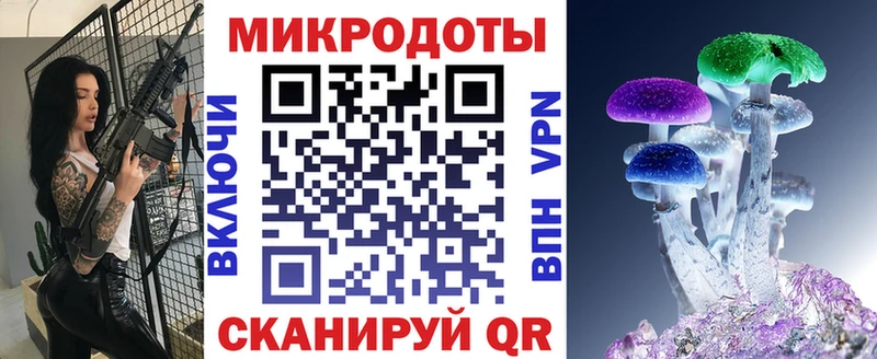 Галлюциногенные грибы Psilocybe  Салаир 