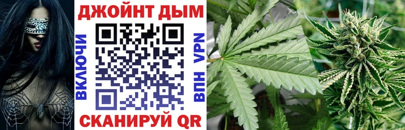 Канабис план  Салаир 
